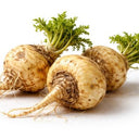 Maca Root (4:1 Extract)